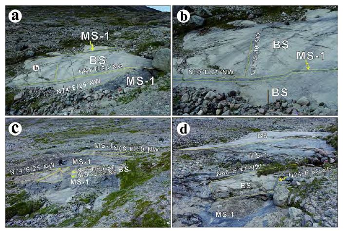 Interbedded MS-1 and BS of the study area. MS has a maximum thickness of ~300 cm and consists of a sub-parallel MS bodies and numerous branched MS, as identified using variations in the thickness and extent of two MS main bodies. This contact shaped may have formed as a result of intrusion along the pre-existing ENE–, NW-, and NE-trending fractures.