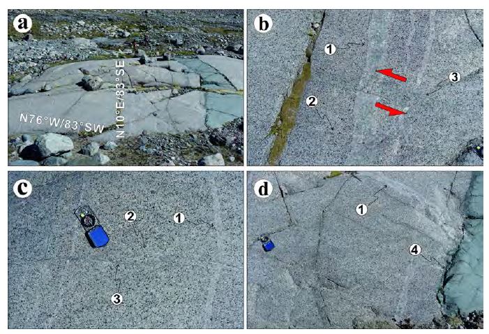 Photographs showing structural relationship at study area. The cross-cutting relationships recorded in this outcrop indicate that the principal stress axes in this area have changed orientation at least four times.