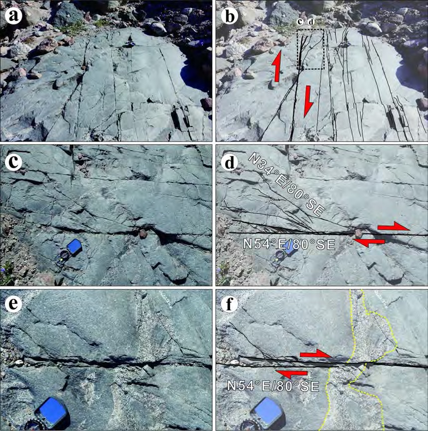 (a, b) Brittle deformation in microsyenite is inferred from the closely-spaced fracturing. (c, d) Horsetail structure at the tip of fault indicate the dextral strike-slip fault sense. (e, f) The pegmatite vein was displaced by dextral strike-slip fault.