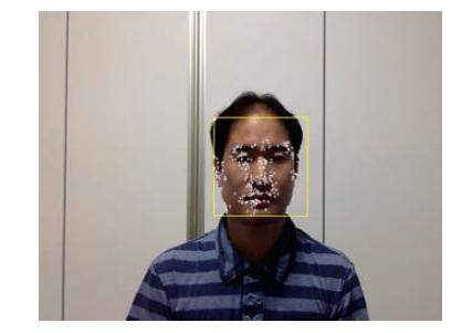 Shi-Tomasi 알고리즘을 사용한 얼굴 특징점 선별