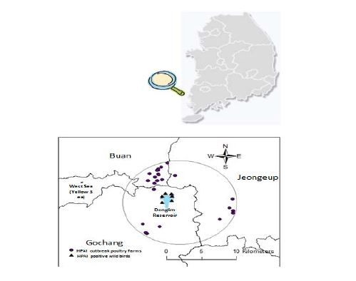 그림 8. 2014년 1-2월 전북 고창, 부안, 정읍지역 HPAI (H5N8) 발생농장 분포