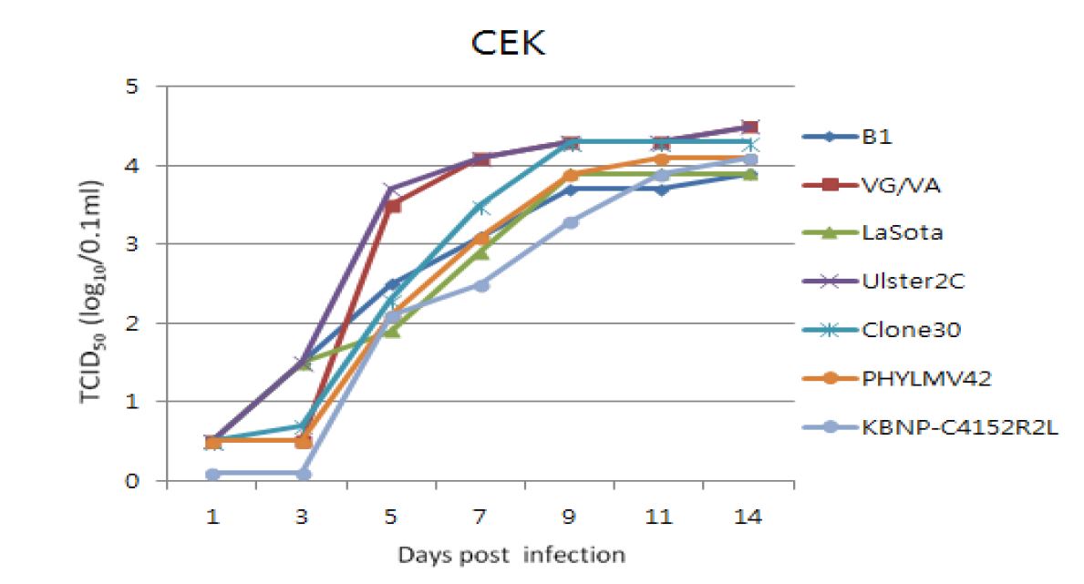 Figure 2. Growth curve of NDV vaccine strains cultivated in CEK cells from Day 1to Day 14.NDV vaccine strains were inoculated onto cells with 1 multiplicity of infection and HA were tested on Day1,Day3,Day5,Day7,Day9,Day11 and Day14, respectively.