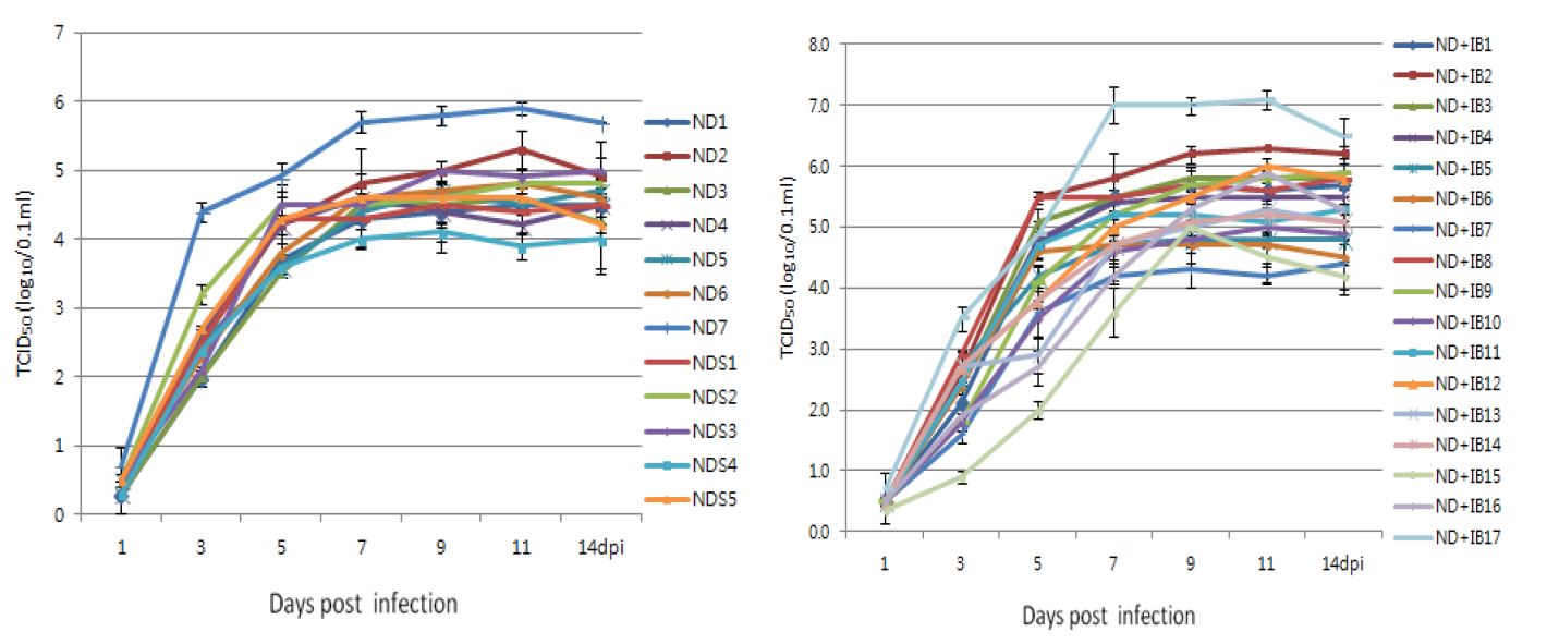 Figure 3. Growth curve of NDV live vaccine strains cultivated in CEK cells from Day 1 to Day 14.NDV vaccine strains were inoculated onto CEK cells and HA were tested on Day1,Day3,Day5,Day7,Day9,Day11 and Day14, respectively.