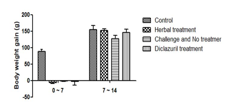 Figure 2. 감염 후 7일과 감염후 14일의 증체량과 사료효율