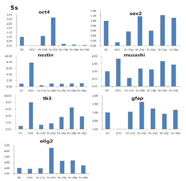 Changes of gene expression level of 5s NPC line cell during 29th passages compared to that of mouse ESC and mouse NSCs.