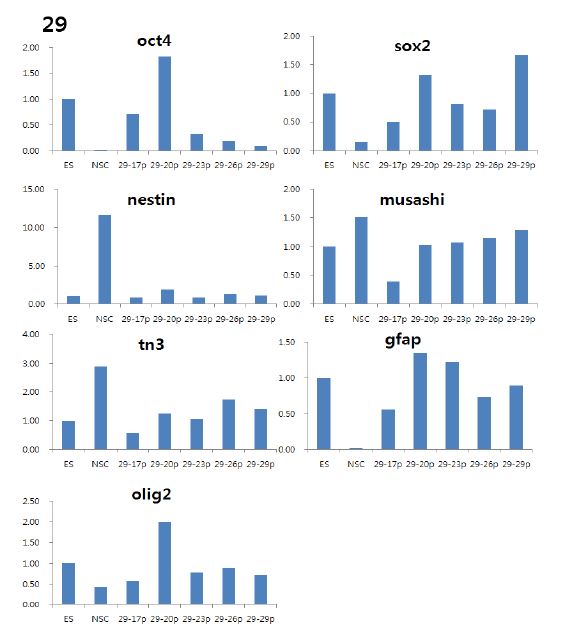 Changes of gene expression level of 29 NPC line cell during 29th passages compared to that of mouse ESC and mouse NSCs.