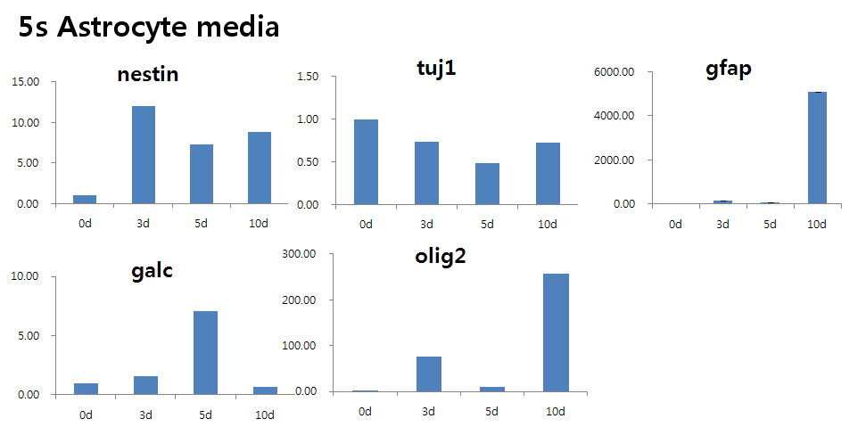 Gene expression patterns during 10 days of differentiation in astrocyte media (5s)