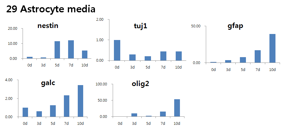 Gene expression patterns during 10 days of differentiation in astrocyte media (29)