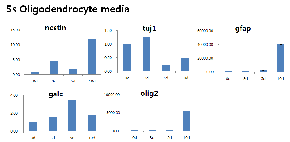 Gene expression patterns during 10 days of differentiation in oligodendrocyte media (5s)