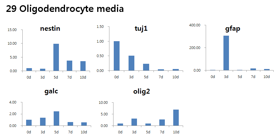 Gene expression patterns during 10 days of differentiation in oligodendrocyte media (29)