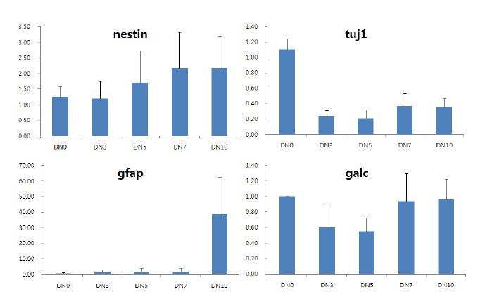 Gene expression patterns during 10 days of differentiation (SC method)