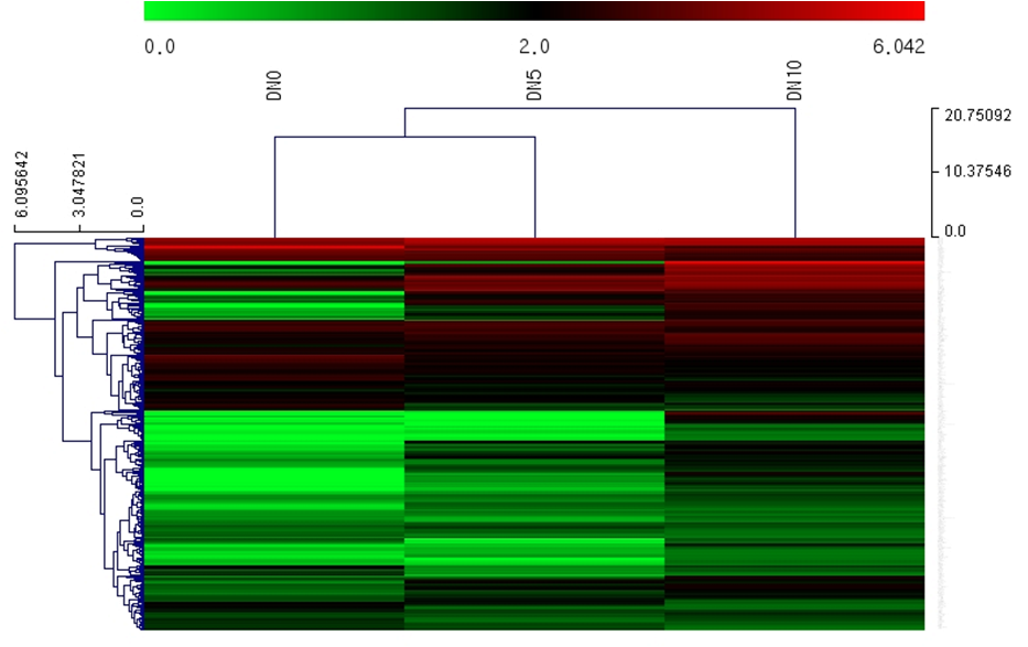 Cluster and gene ontology analysis of 302 diferentially expressed genes. The whole genes on the chip were filtered by gene ontology selection in terms of 