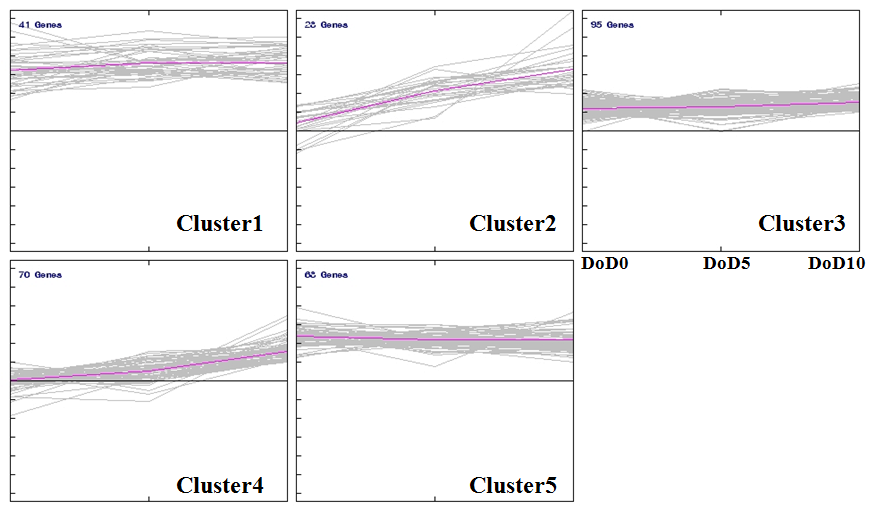 K-means clustering identified 5 clusters. Each line represents gene expressionflow through 10 days of differentiation. Purple line was the average expression pattern.