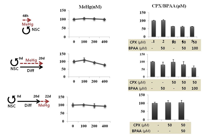 Viability of hNSC, developing neurons and differentiated neurons treated with MeHg and CPX/BPAA.