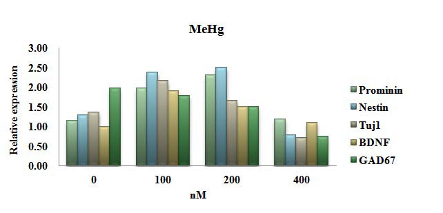 Gene expression patterns during 20 days of differentiation treated with MeHg.