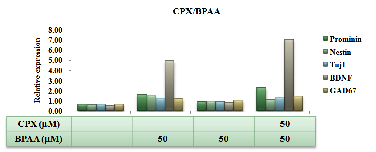 Gene expression patterns during 20 days of differentiation treated with CPX/BPAA.