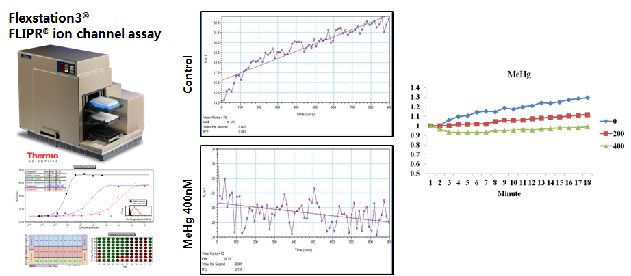 Flextation3을 이용한 이온채널활성 반응양상 그래프 확인 (좌측). MeHg (200nM, 400nM) 처리와 동시에 20일간 분화시킨 신경세포에 agonist (KLC) 처리 후 20분간 optical density 변화 측정 결과 (우측)