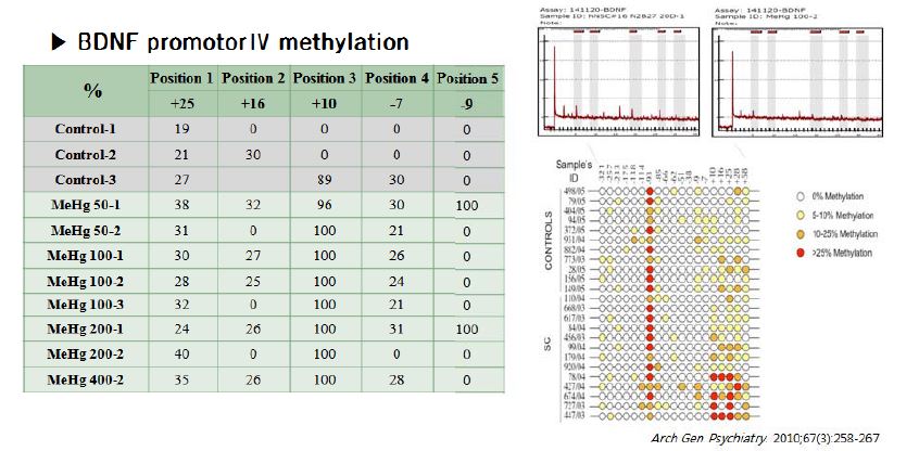 Pyrosequencing results of BDNF promotor Ⅳ +10~+28 CpG site.