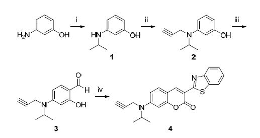Synthesis of benzothiazolyl coumarin with propargyl group