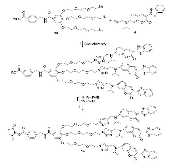 Synthesis of succinimidyl ester of coumarin dendrimer.
