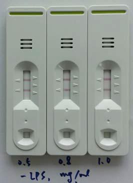 Determination of concentration of capture antigen (LPS) in test line