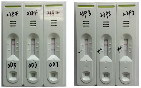 Determination of conjugate for antibody capture in serum