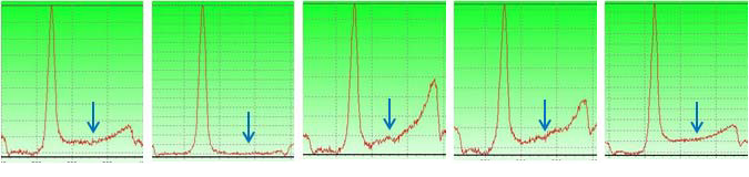F-ICT profile for Y. enterocolotica O:9 antisera(ID 9810) by weeks(1∼5wks). There was no detect the reaction peak.