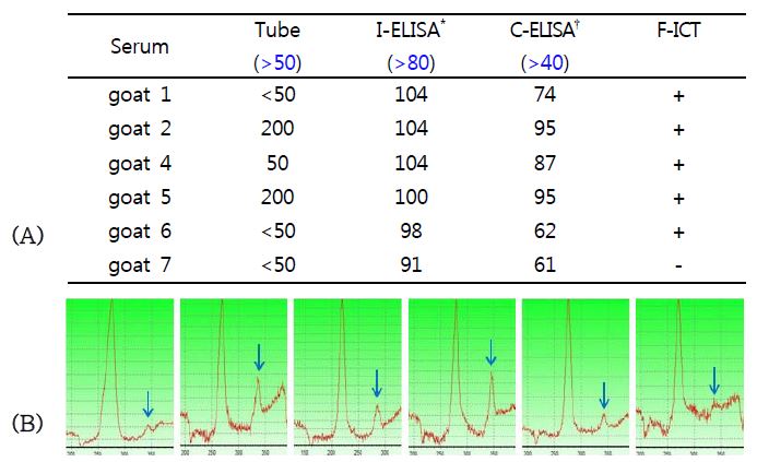 Comparison with results of conventional serological test(A) and F-ICT kit(B) against goat sera from Thailand. * IDEXX, †Svanovire