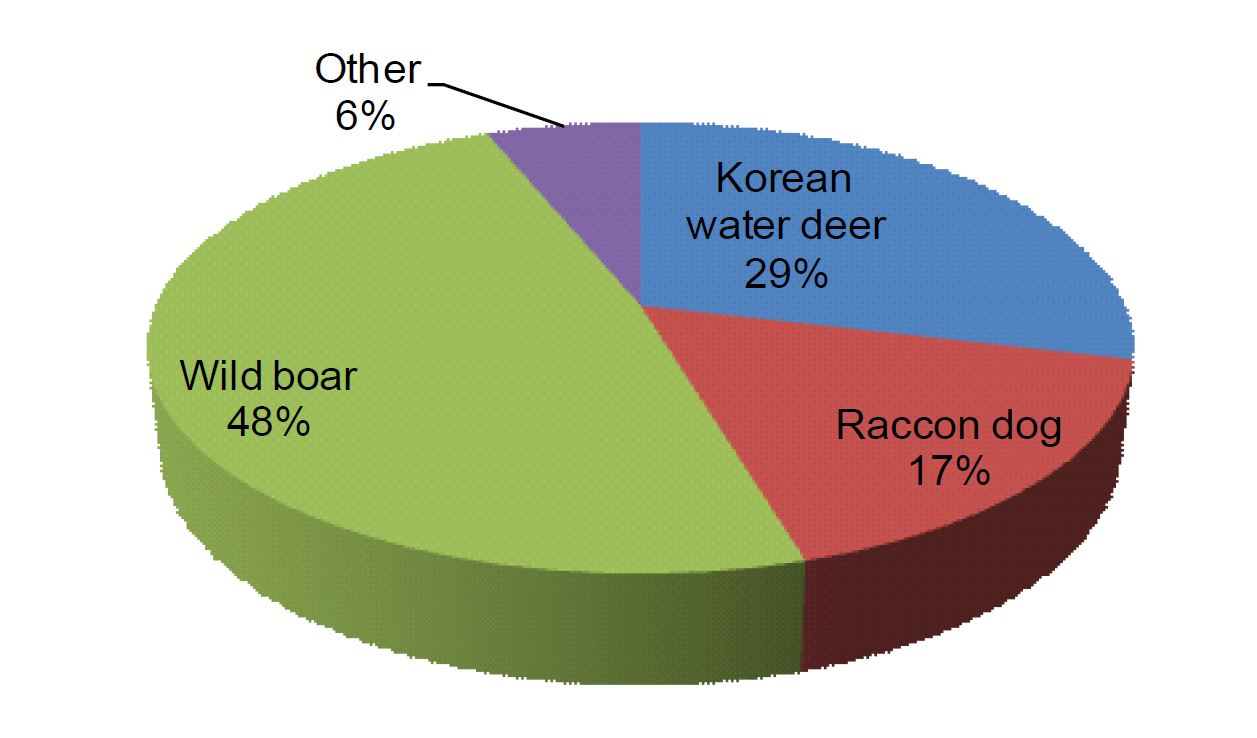 Distribution of wildlife animals