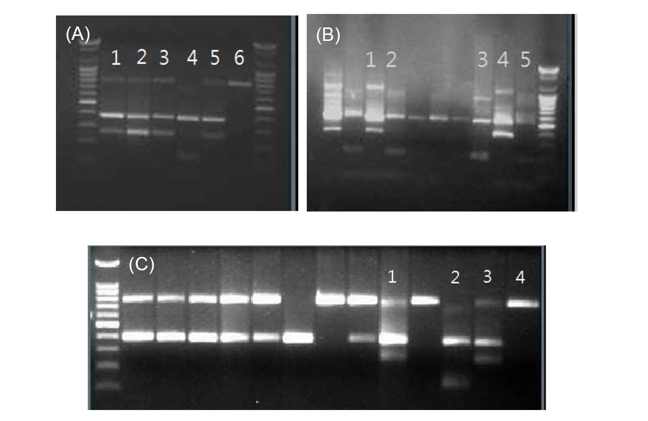 Results of multiplex PCR assay