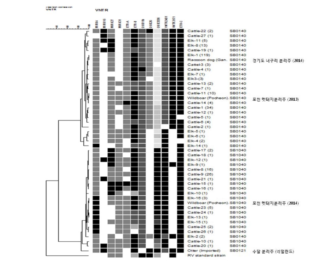 Dendogram deduced from the analysis of 281 MIRU-VNTR profiles with VNTR pattern of M. bovis isolated from wild boar and M. tuberculosis H37Rv