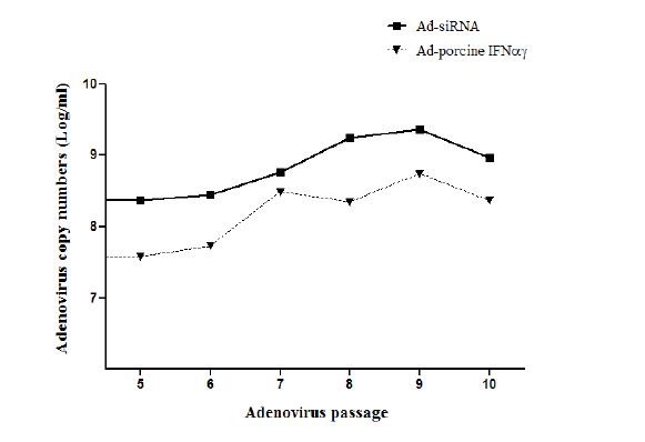 Fig. 6. 재조합 아데노바이러스의 계대에 따른 성장 곡선