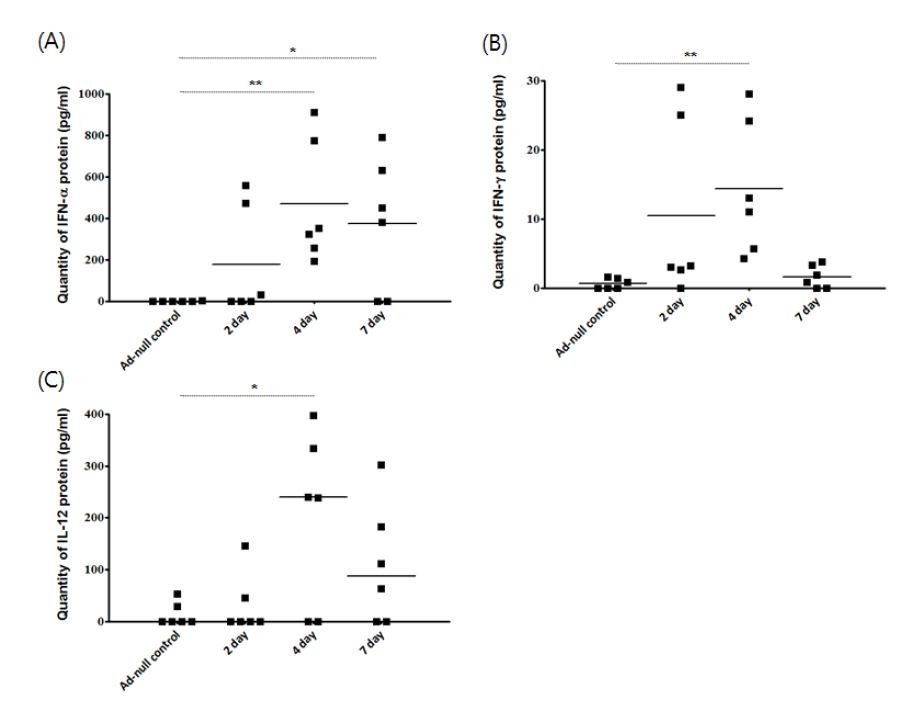 Fig. 12. Ad-porcine IFNαγ와 Ad-3siRNA combination 접종 이후 cytokine 의 변화