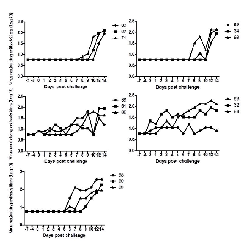Fig. 15. Ad-porcine IFN-αγ, Ad-3siRNA combination, vaccine 접종 돼지의 VNT titer