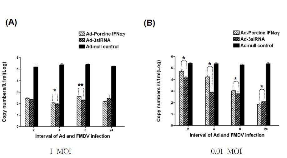 Fig. 2. Ad-3siRNA의 억제효과 효과가 Ad-porcine IFN-αγ보다 더 신속하게 나타남