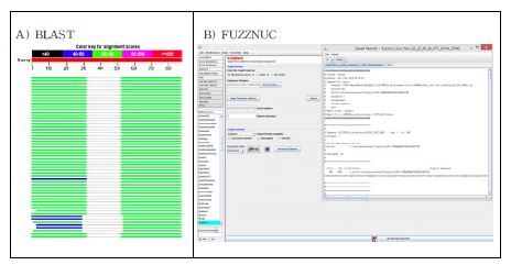 그림 4. BLAST와 FUZZNUC를 이용한 Primer binding 및 mismatch test 화면 예제