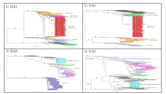 그림 1-A. 인플루엔자 HA와 NA를 바탕으로 한 축종별 lineage 분석 결과
