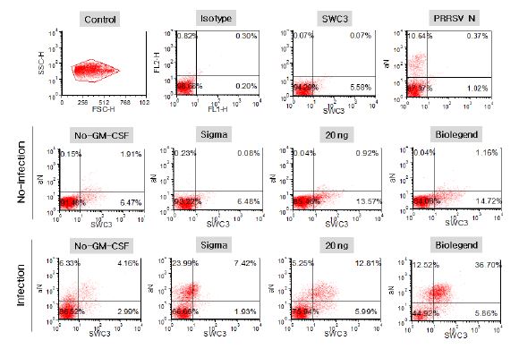 그림. GM-CSF로 monocyte 세포를 MDM으로 분화 유도시킨 후, PRRSV로 감작하여 FACS로 cytokine 효능성 확인