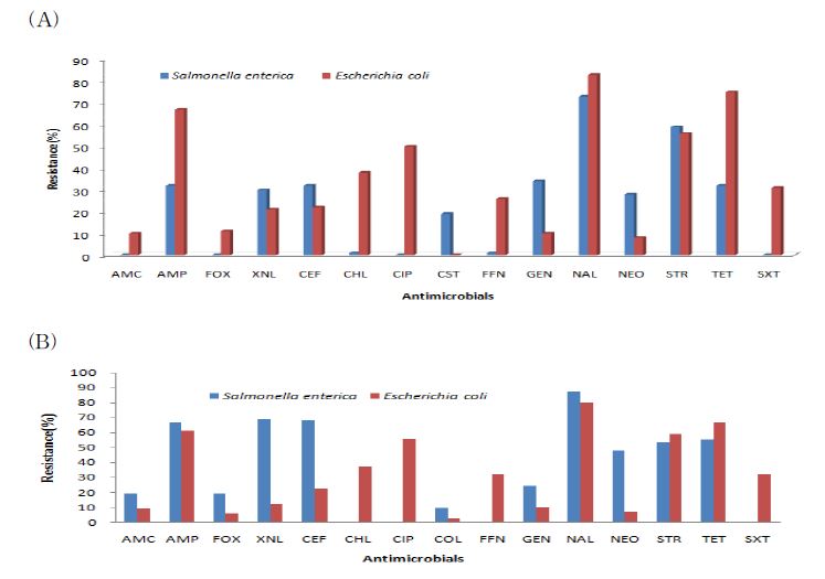 그림 1. 2013년도(A) 및 2014년도(B) 닭 유래 살모넬라균 및 병원성대장균의 항생제 내성. 2013년도에 비교하였을 때, 살모넬라균은 전반적으로 유사한 내성양상을 보였으며, 병원성 대장균에서 항생제 내성이 높게 나타났을 뿐만 아니라 살모넬라에 비하여 대장균이 항생내성이 전반적으로 높게 나타났다.