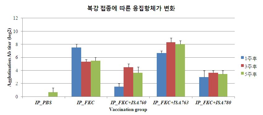 그림 8. 복강 접종에 따른 응집항체가 변화