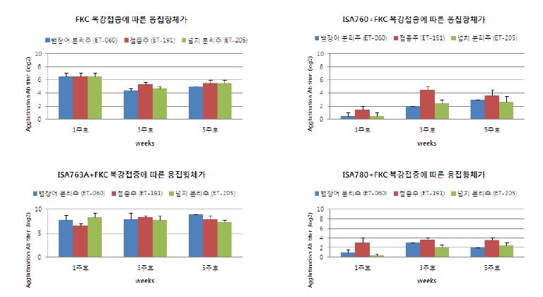 그림 10. 뱀장어·넙치 분리주간 혈청 교차 응집 반응