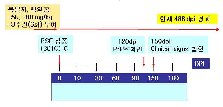 그림 4. BSE 감염 전 추출물(복분자:RCE, 백일홍:ZEE) 투여계획