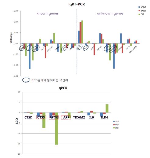 그림12. DEG결과에 따른 유전자의 qPCR확인 결과