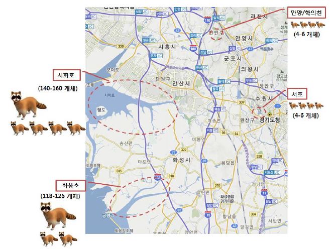 그림 52. 연구 대상 지역 추정 서식 너구리 개체수