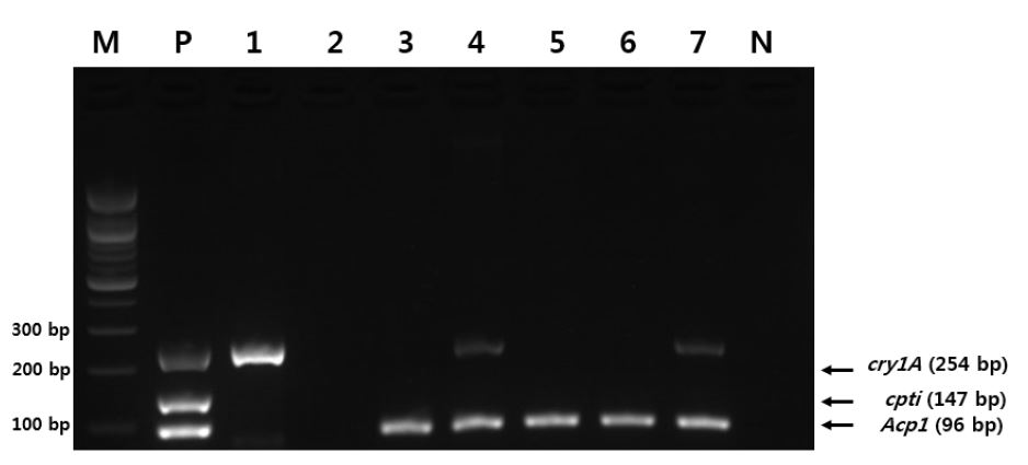 Validation of GM cotton screening (cpti, cry1A) detection kit