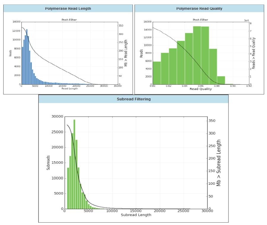 QIA-37 균주의 pacBio raw data 그래프.