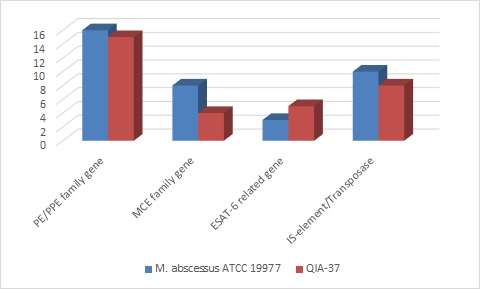 대표적으로 알려진 병원성 유전자 및 IS-element/transposase의 QIA-37 균주 유전체 내 개수를 M. abscessus 유전자와 비교한 그래프