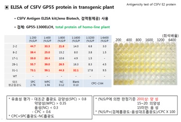 Antigenicity test on plant-made E2 protein in CSFV antigen ELISA kit
