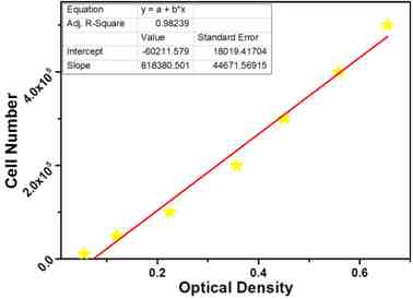 MTT assay시 얻는 optical density 값을 사용하여 세포수를 계산하기 위한 calibration curve
