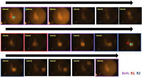 Series of pattered light stimulation of neurons of Ad-CMV-CatCh(L132C)-EYFP and R-GECO DNA plasmid transfected mouse brain